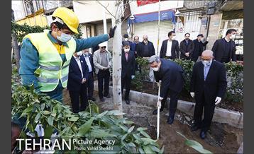 مراسم کاشت درخت در خیابان ولیعصر  16