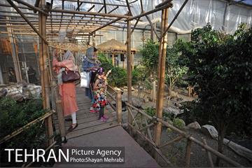 باغ پرندگان تهران 25