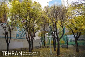 پاییز زیبای پایتخت- 4 11