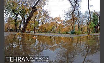 پاییز در پارک شهر 2