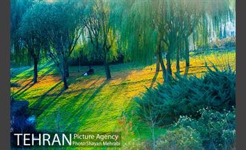 پاییز اراضی عباس آباد 11