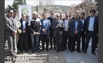 مراسم درختکاری مرکز مدیریت محیط زیست و توسعه پایدار 26