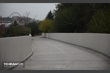 طبیعت پاییزی باغ راه فدک تهران 3
