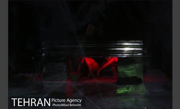 نمایش موی سیاه خرس زخمی 12