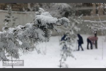 روز برفی پایتخت 17
