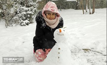 بارش برف زمستانی در منطقه ۲ 23