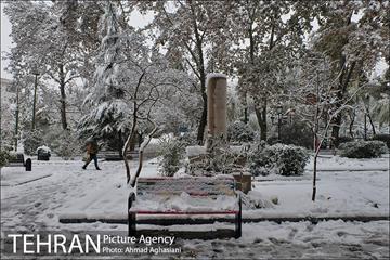 بارش اولین برف پاییزی در تهران 32