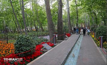 تور عکاسی از باغ ایرانی 6