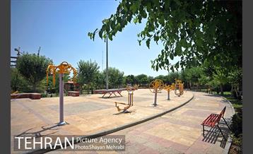 بوستان الغدیر 13