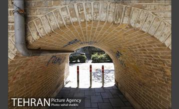 بوستان شفق 24