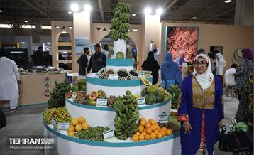 هفدهمین نمایشگاه بین‌المللی گردشگری و صنایع وابسته تهران 42