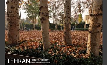 سومین رویداد هنری "پاییز برگ" در میدان مشق 33