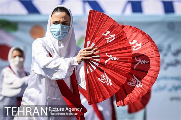 پویش ملی ارتقا سلامت و نشاط زنان 3