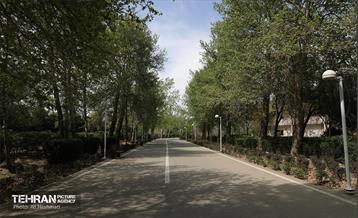 بوستان بانوان نرگس 28