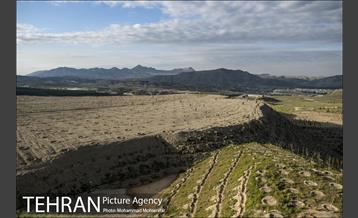 بازدید از پروژه جنگل کاری 1250 هکتاری 12