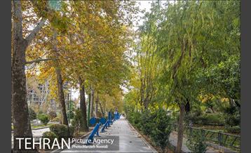 پاییز زیبای پایتخت 22