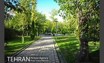 بوستان هنرمندان (ایرانشهر) 21