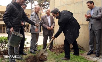 کاشت درخت توسط هنرمندان در فرهنگسرای نیاوران 17