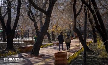 باغ گلاریس 14