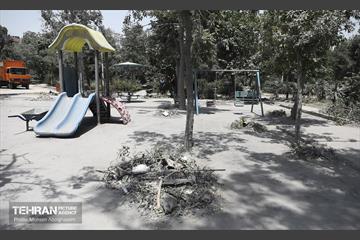 بوستان ایثار در منطقه ۲۰ به چرخه خدمت بازگشت 5