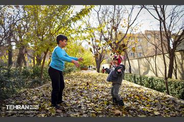 گذرگاه های پاییزی پایتخت - منطقه 14