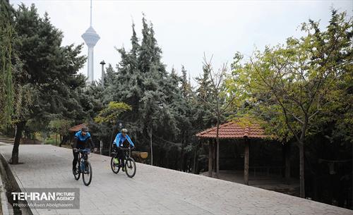 طبیعت پاییزی باغ راه فدک تهران 5