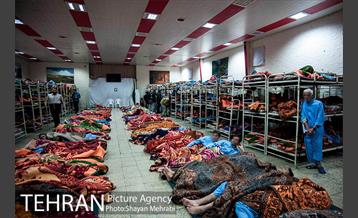 بازدید اصحاب رسانه از گرمخانه خاوران 12