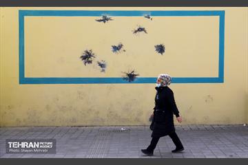 زخم بی فرهنگی بر دیوارهای شهر 25