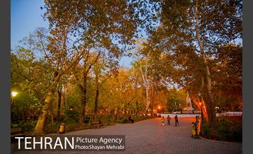 طبیعت پاییزی پارک شهر 11