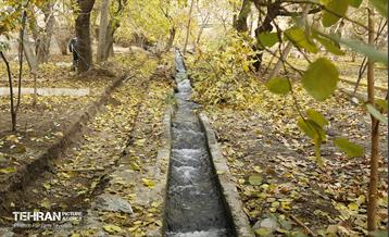 مراحل احداث پروژه ی باغ باهنر 29