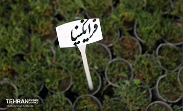 افتتاح پروژه‌های منطقه ۱۴ 13