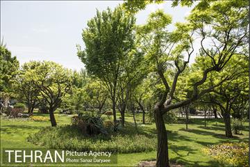 بوستان آزادگان 12