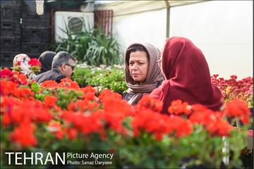 بازار گل شهید محلاتی در آستانه نوروز 12