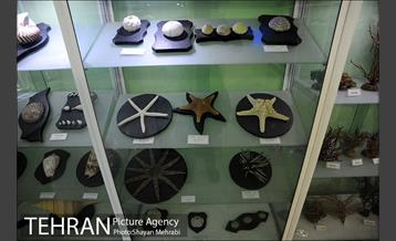 موزه حیات وحش هفت چنار 56