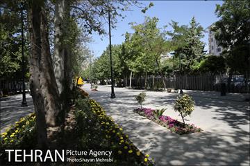 گذر پیاده راه استاد شهریار 13