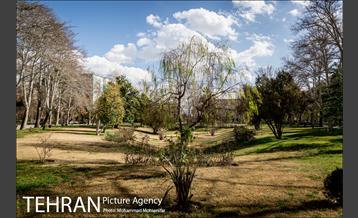 پارک شهر بعد از یک صبح بارانی 18