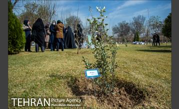 ۱۰۰ نهال به نام ۱۰۰ زن نامدار قرن 9