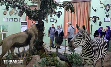 افتتاح اولین سامانه هوشمندسازی موزه‌ها ویژه نابینایان 9