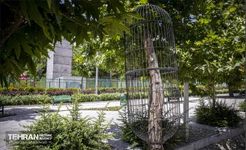 جان دوباره در درختستان 21