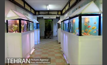 آکواریوم پارک شهر 4