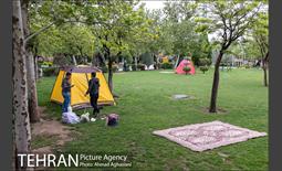 روز طبیعت بارانی در بوستان رازی 1
