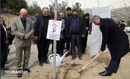 جشن درختکاری در منطقه ۵ 6