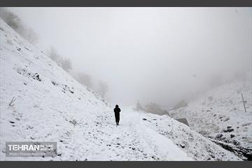 بارش برف زمستانی در تهران 32
