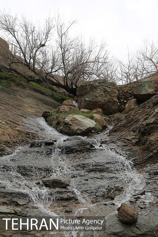 وردیج ، دنیایی از زیبایی 12