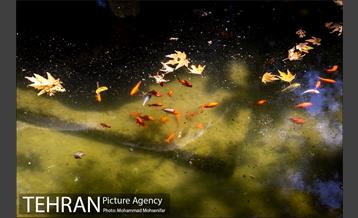 شهرنگار؛ پارک اندیشه 22