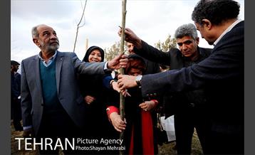 کاشت شش نهال درخت زیتون با حضور کارگرداران سینمای ایران 16