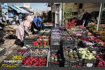 بازار گل شهید محلاتی در آخرین روزهاى سال 24
