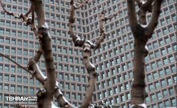 برف چهره تهران را سپیدپوش کرد 23