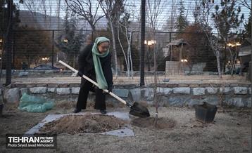 مراسم سومین آیین کاشت نهال صلح و دوستی  33