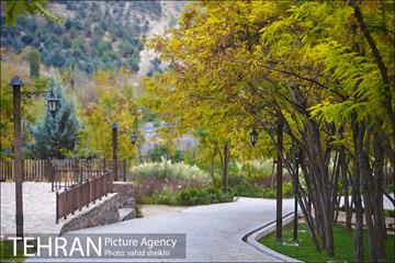 طبیعت پاییزی بوستان فدک 2